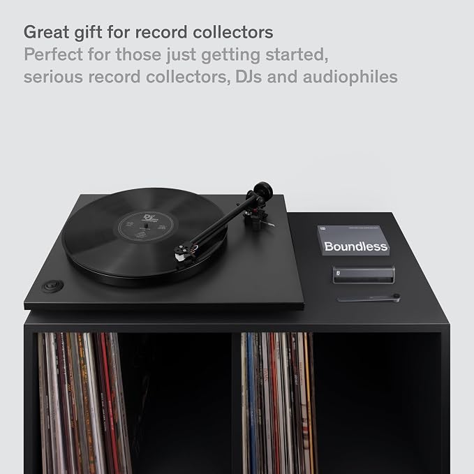 Boundless Audio Record Cleaner Kit - Image 6