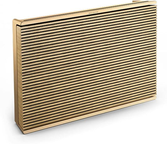 Bang & Olufsen Beosound Level Portable Wi-Fi Multiroom Speaker by BangOlufsen