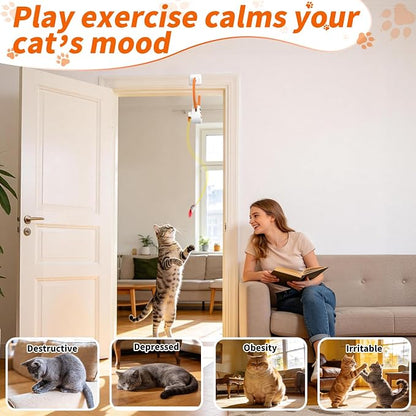 Interactive Cat Toys for Indoor Cats, Automatic Flying Bird Mouse Doorway - Image 6