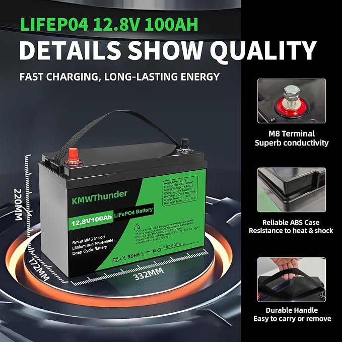 12V 100Ah LiFePO4 Lithium Battery, Built-in Smart BMS, Low Temperature - Image 5