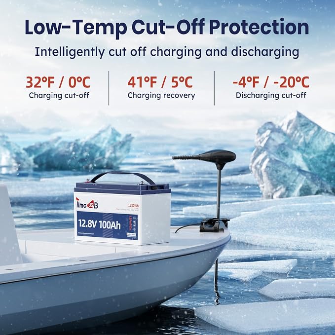 12V 100Ah LiFePO4 Battery with Low Temperature Cut off Protection Group31 - Image 5