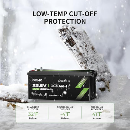 OKMO 24V 100Ah LiFePO4 Lithium Battery - Image 4