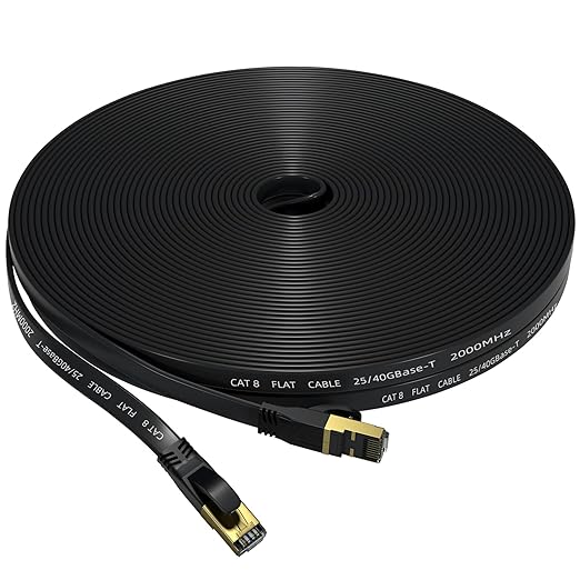 Cat 8 Ethernet Cable 30 FT, Outdoor&Indoor High Speed Heavy Duty Network LAN by Unknown