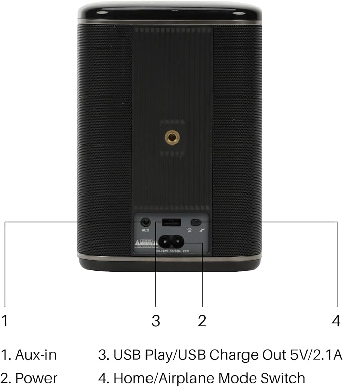 RIVA Upgraded Arena Wi-Fi Bluetooth Hi-Fi Speaker, 6 Drivers, Supports Airplay 2 - Image 3