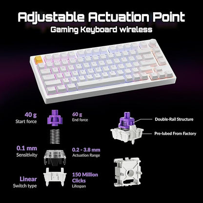 P1 HE 75% Wireless Custom Mechanical Gaming Keyboard - Image 3