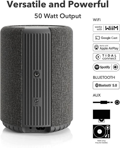 Audio Pro A10 MKII Wireless Multiroom Speaker, WiiM Edition | High Fidelity - Image 2