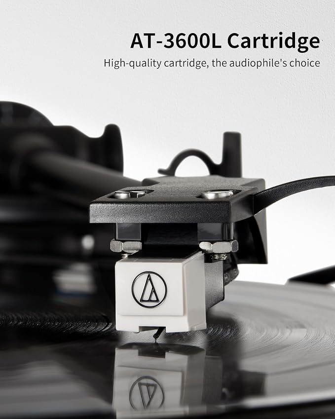 ANGELS HORN Vinyl Record Player Turntable - Image 3