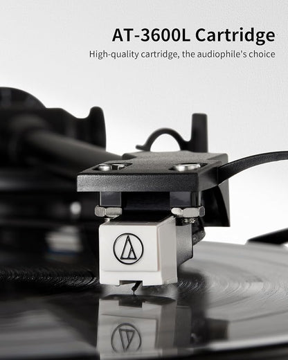 ANGELS HORN Vinyl Record Player Turntable - Image 3