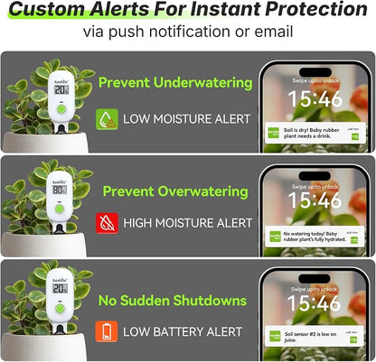 RAINPOINT Smart Digital Wireless Plant Moisture Meter Houseplants Indoor WiFi - Image 4