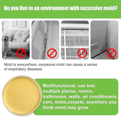 Mold Test Kit for Home - Image 2