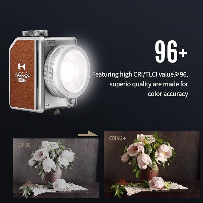 Harlowe Portable Mini LED Photography Lighting Standard Kit, 20W Travel Studio - Image 3
