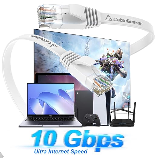 Cat 6 Ethernet Cable 75 ft, Indoor&Outdoor, High Speed 10Gbps Flat Internet - Image 2