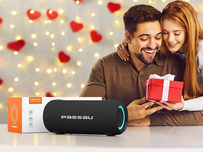 Passau Portable Bluetooth Speakers Loud 40W Peak Stereo Sound, Passive - Image 9