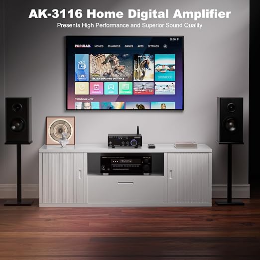 Facmogu AK-3116 HiFi Digital Amplifier, Mini Amp Audio System - Image 2