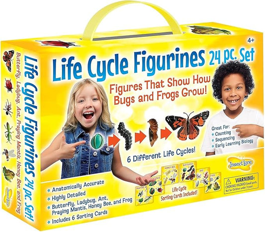 Insect Lore's Life Cycle Figurines 24 Pc Set | Butterfly, Honey Bee, Ant and by InsectLore