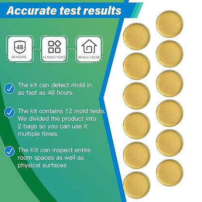Mold Test Kit for Home - Image 3