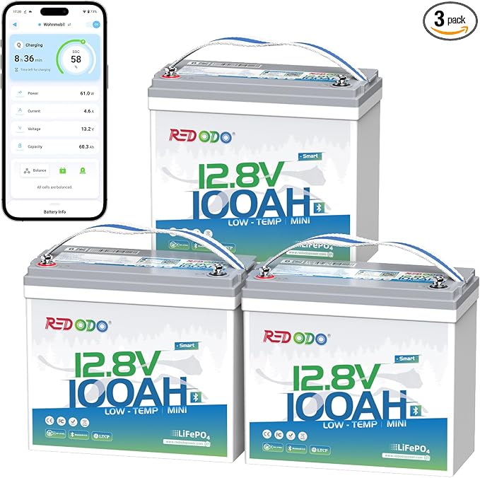 Redodo 12V 100Ah Smart Mini Bluetooth LiFePO4 Battery, Smallest Lithium by PrimeDayRedodoSaveup55