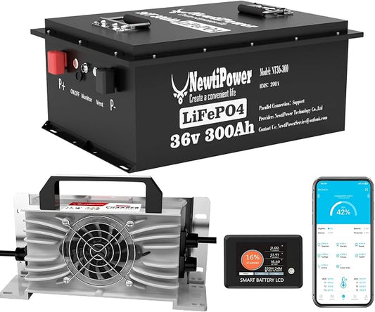 36V 300Ah Golf Cart Lithium LiFePO4 Battery by NewtiPower