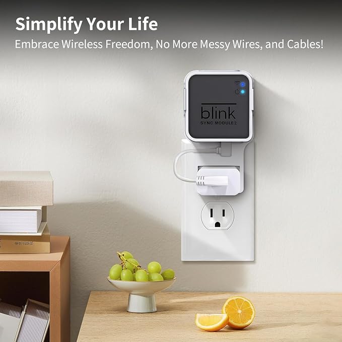 Kidjoyo Wall Mount for Blink Sync Module 2 - Image 2