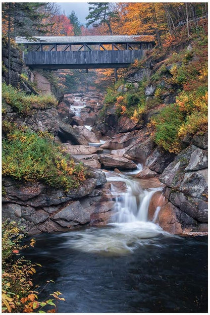 White Mountain Puzzles Covered Bridges, 1000 Piece Jigsaw Puzzle by WhiteMountain