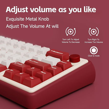 Chilkey Foxy65 Mechanical Keyboard - Image 9