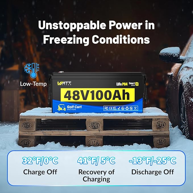 48V Lithium Battery Golf Cart Built-in BMS 200A Bluetooth, 48 Volt 100Ah - Image 6