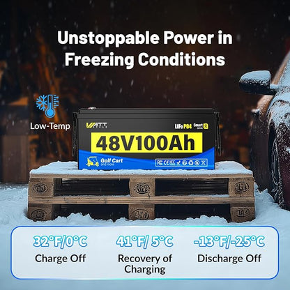 48V Lithium Battery Golf Cart Built-in BMS 200A Bluetooth, 48 Volt 100Ah - Image 6