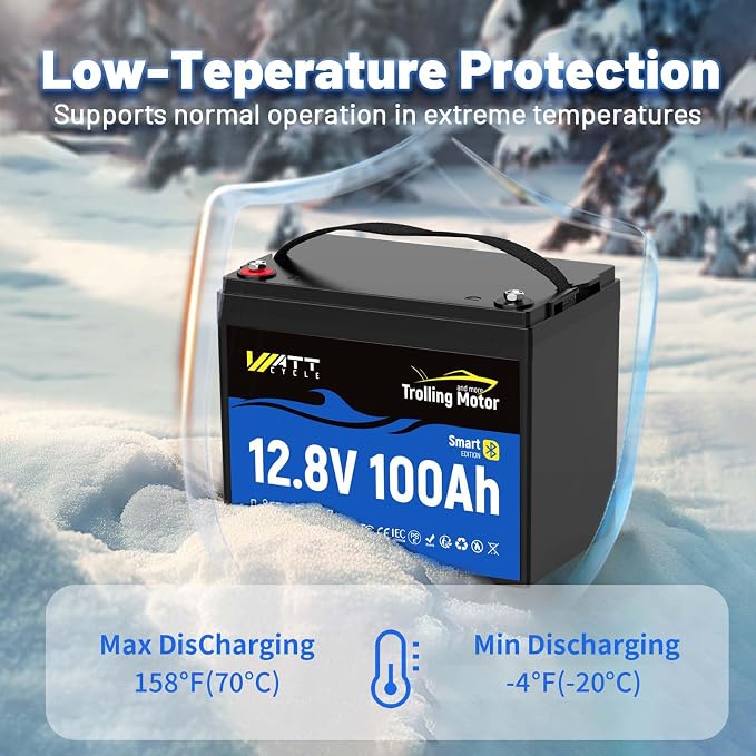12V 100Ah TM LiFePO4 Lithium Battery - Image 4