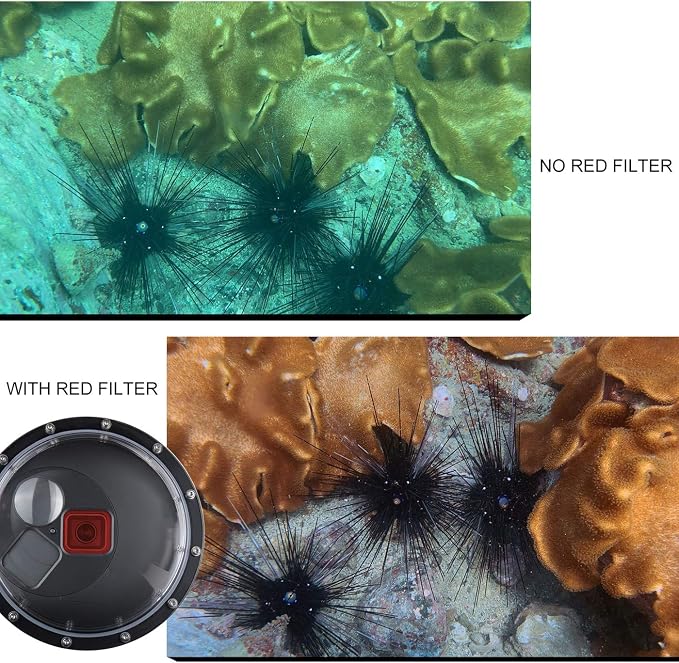 Dome Port for GoPro Hero 8 Black, Dome Port Lens - Image 5