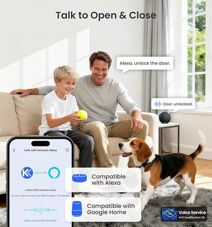Veise VE027-K Built-in WiFi Smart Lock - Image 4