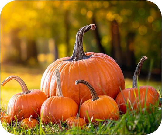 Fall Season Mouse Pad Mat Mousepad by Unknown