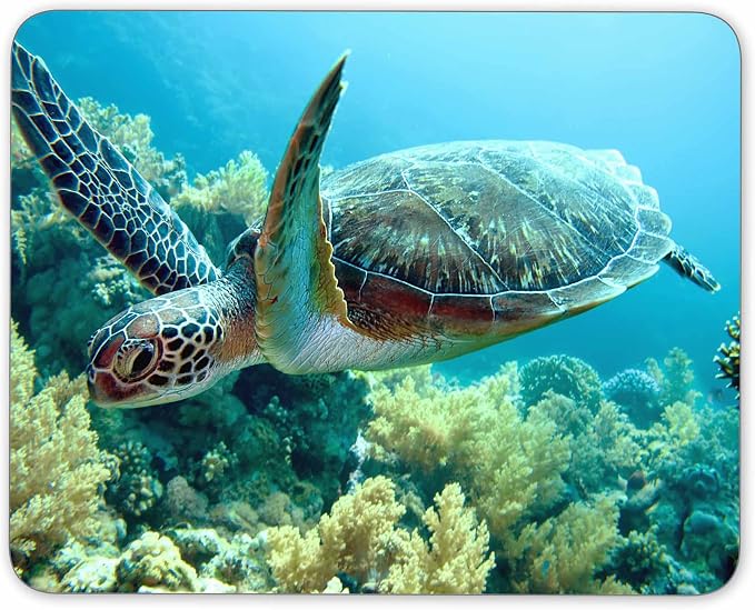 Green sea Turtle Mouse pad, Natural Rubber Mouse Pad, Quality Creative by QJ+CMJ