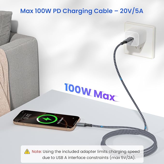 Elebase USB Type C to C 100W Cable 10FT - Image 4