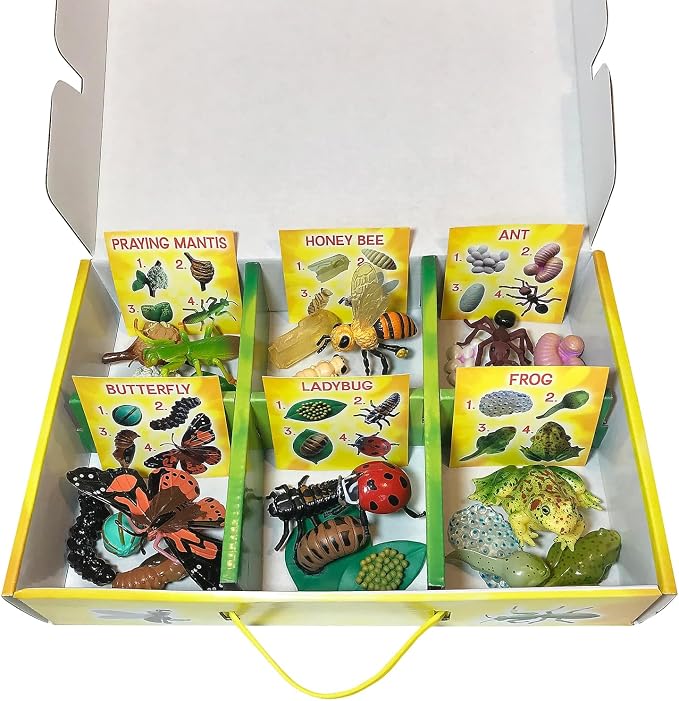 Insect Lore's Life Cycle Figurines 24 Pc Set | Butterfly, Honey Bee, Ant and - Image 3