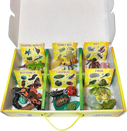 Insect Lore's Life Cycle Figurines 24 Pc Set | Butterfly, Honey Bee, Ant and - Image 3