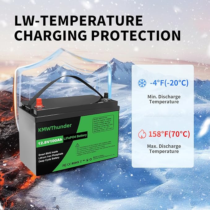 12V 100Ah LiFePO4 Lithium Battery, Built-in Smart BMS, Low Temperature - Image 3