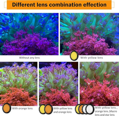 Reef Coral Lens Phone Kits 5 Lenses Kit 1 Dust Shield Case 2 Lens Clips - Image 4
