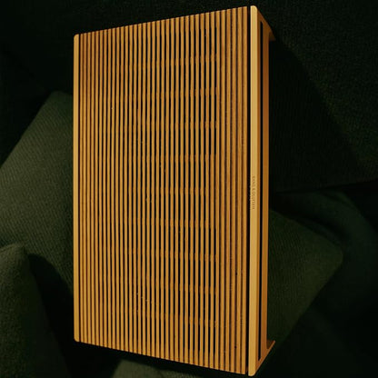 Bang & Olufsen Beosound Level Portable Wi-Fi Multiroom Speaker - Image 14