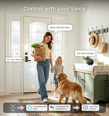 Veise VE029-E Wi-Fi Smart Lever Lock - Image 7