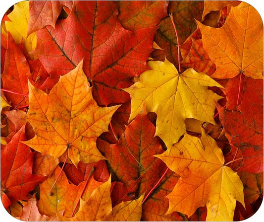 Fall Season Mouse Pad Mat Mousepad by Unknown