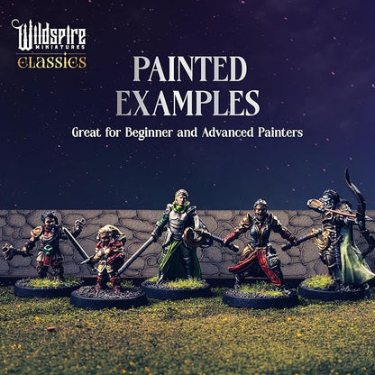 Classic Heroes - Mercenary Band I- 25 Paintable Characters - Image 5